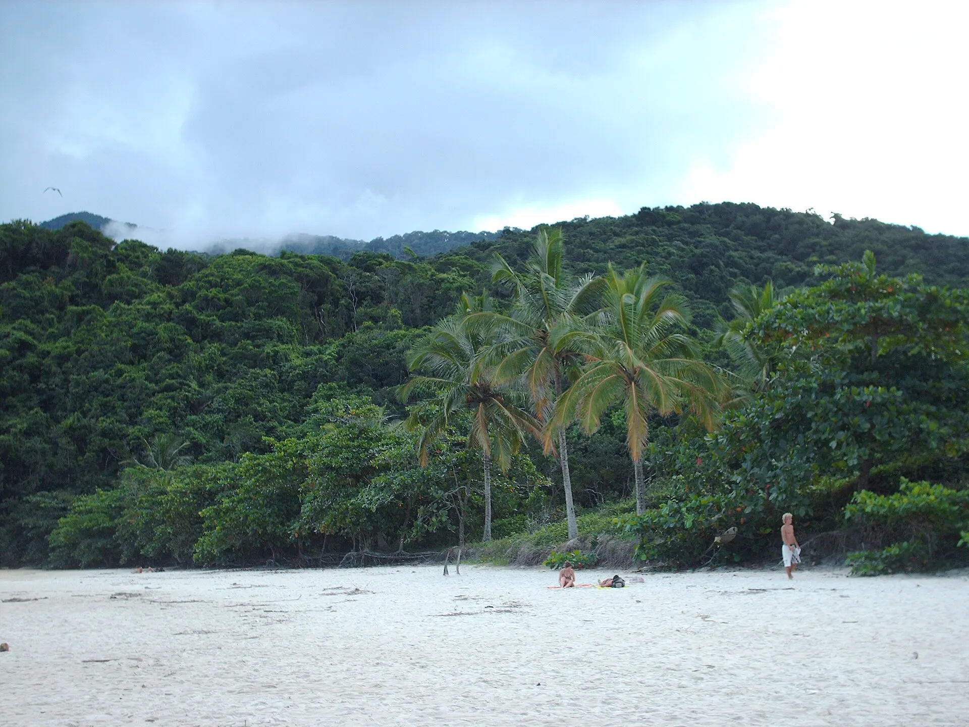 The long white sand of Lopes Mendes beach on Ilha Grande, backed by forest